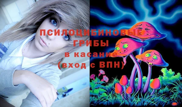 МДПВ Аркадак