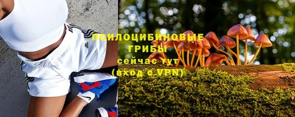 a pvp Армянск