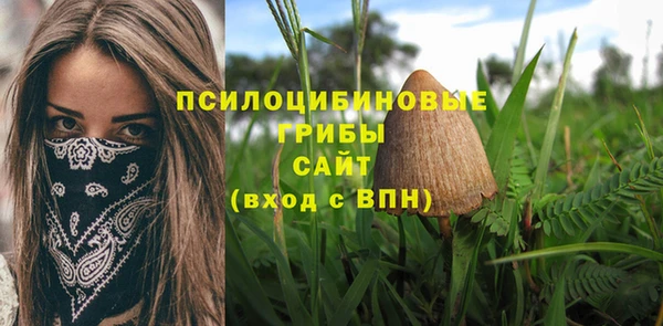 a pvp Армянск