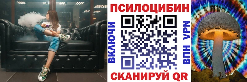 Псилоцибиновые грибы Psilocybe  Шумиха 